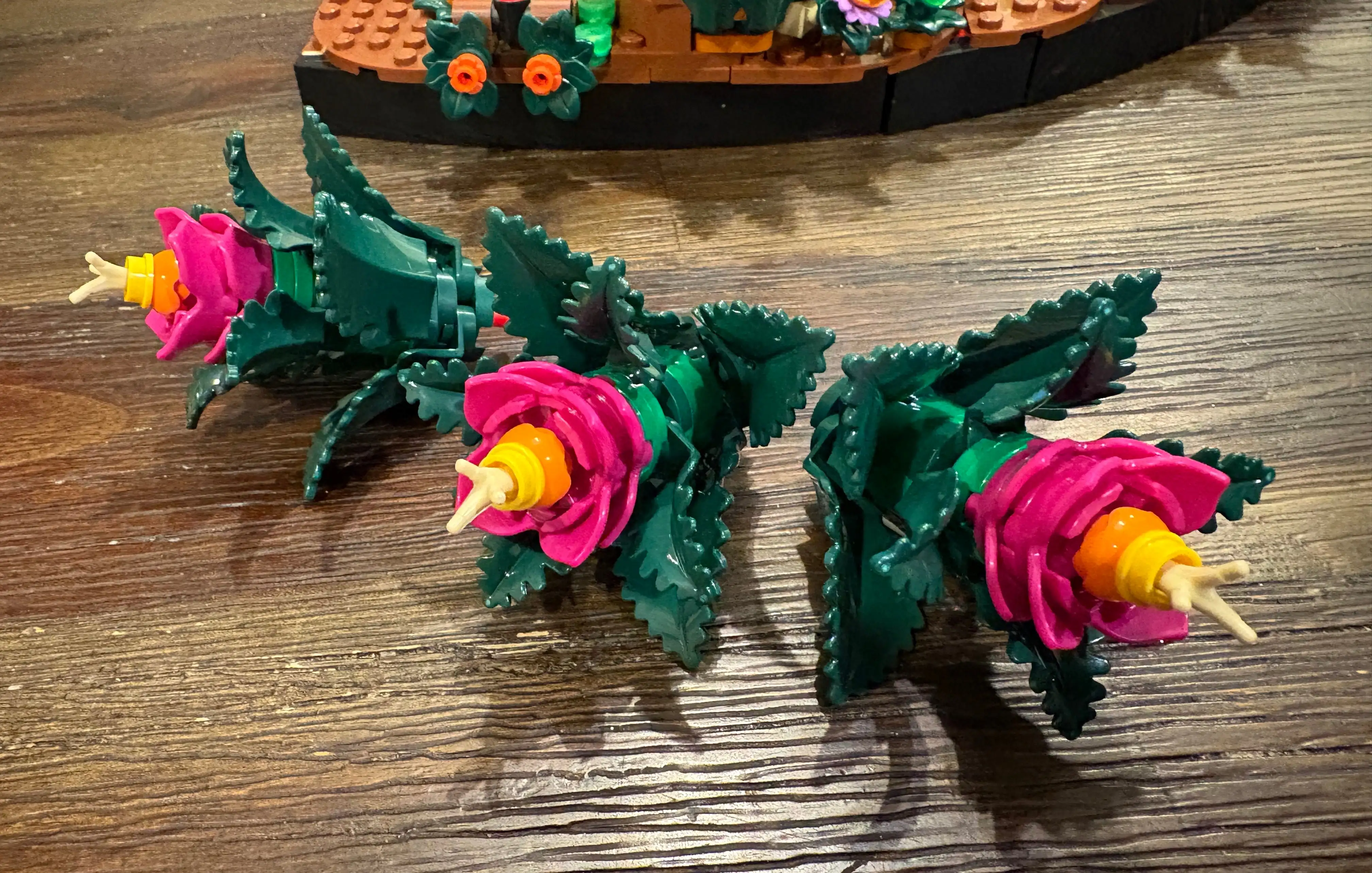 荷兰国家队,首战进球非,荷甲球员,BG真人厅下载,BG真人厅娱乐,BG真人厅官网,BG真人厅app