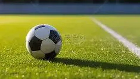 BG真人 产品 064223 shv