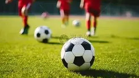 BG真人 产品 125236 z6e