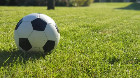 大连英博与海牛和解，新投资方力邀于汉超加盟引发热议